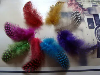 500pcs5-10 cm 5dyed barvne pravi naravni resnično pheasnt perje perje za masko nakit obrti obleko kar masovno prodajo