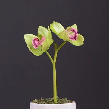 6pcs Umetno Mini Vzhodne Azije Orhideja Debelo Kratke Veje Simulacije Cymbidium Visoko Kakovostni Družinski Festival Stranka Dekoracijo